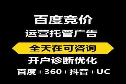 SEM广告投放中的数据监控与调整策略——以某品牌营销案例为例